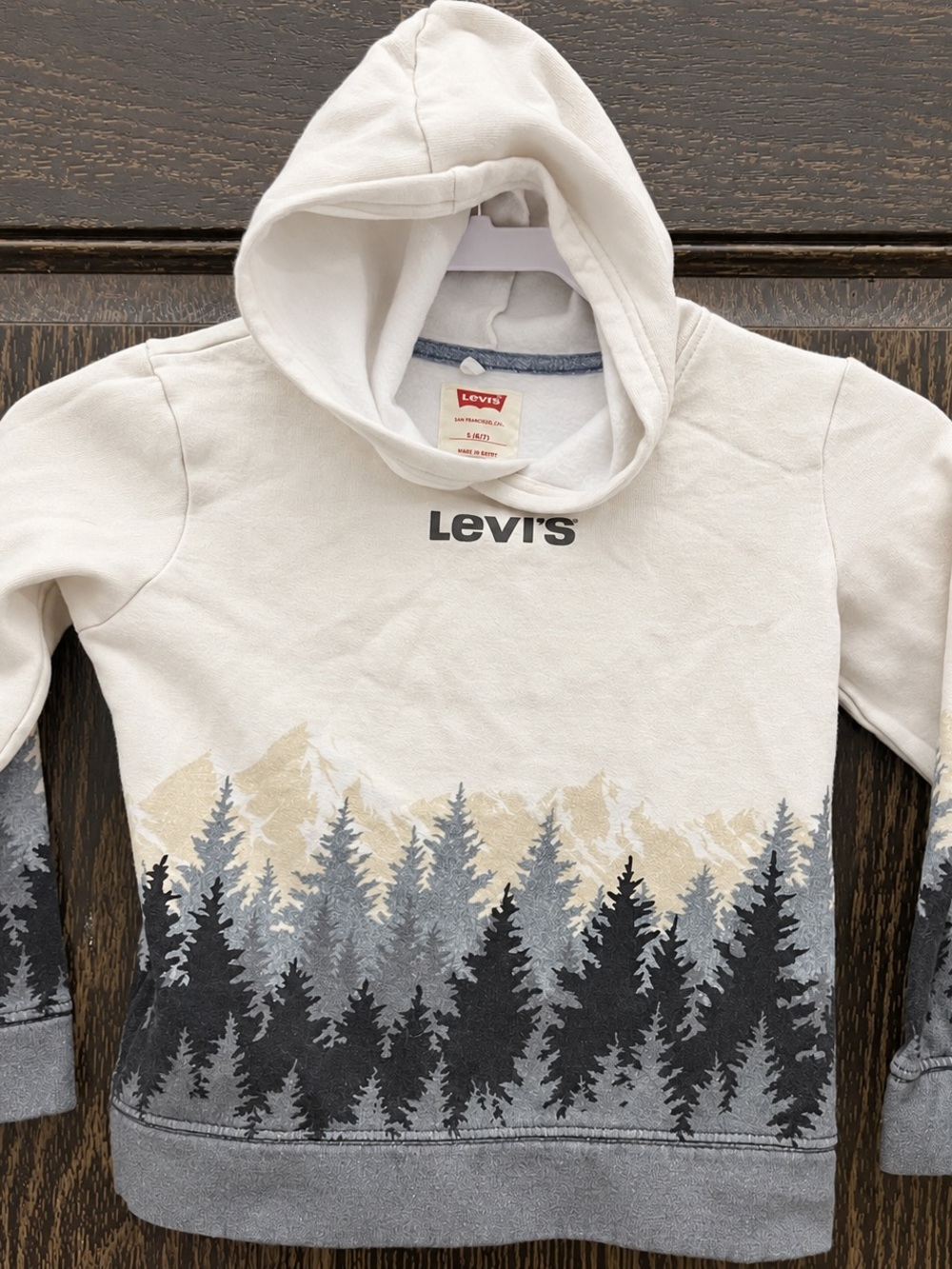 Levi's Kids Cream Hoodie with Gray Mountain & Forest Graphic